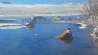 Winter Fly Fishing Dream Stream South Platte River