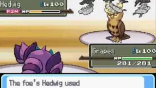VanOFFtheWaLLz VS. Otto (Mono-Type Gym Match)