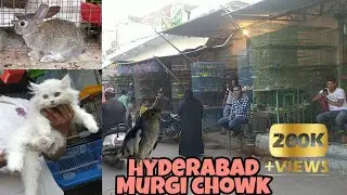 Charminar Murgi Chowk Market