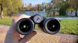 8x42 Celestron Nature DX ED утки и лебеди на озере (без штатива и монтажа) 4K