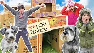 Dog House Box Fort Mansion | Creative Kids Build With Cardboard