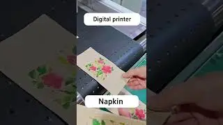 Single pass digital printer#digitalprinter #digitalprintingmachine #singlepass #napkin