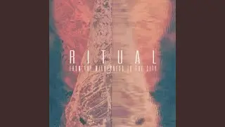Instinct (Sound Of Fractures Remix)