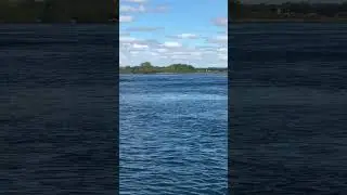 Giant ship making big waves #ship #waves #bigwave #wake #stlawrenceriver #bassfishing
