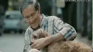 Heart touching story of dog and man