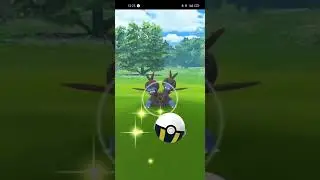 Deino Community Day All Shiny Evolve & Mega Manectric &PVP GL& 2021Hundo Hydreigon Power Up Level 50