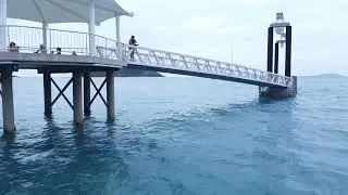 Whitsundays Sailing