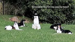 [old , read description]