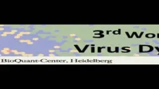 Virus dynamics podcast with Alan Perelson and Frederik Graw