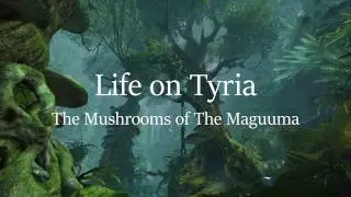[GW2] Life on Tyria 01: The Mushrooms of The Maguuma