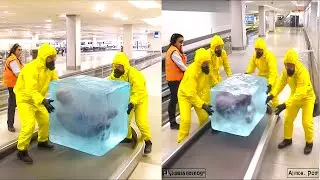 The Wildest Day for Airport Security and the Items That Made Them Say WTF