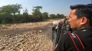 Corbett National Park । Bijrani Range । Ramnagar । Best place for Jungle Safari ।