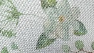 Antimicrobial Potential of Neem Tree Azadirachta indica:Frontiers in Pharmacology
