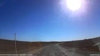 Strzelecki cattle Grid