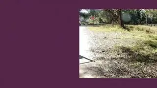 38533 STATE ROAD 575 DADE CITY, FL 33523