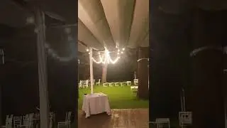 animar la fiesta