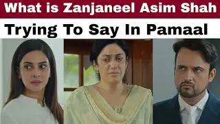 Pamaal Writer Zanjbeel Asim Shah Confused writing Continue by bio with waqas