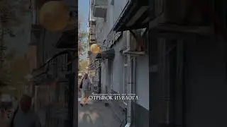 Сумка от Tendence в Рандеву