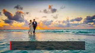 Crushing Monkeys Video Digital Marketing For Wedding Business Services & Bridal Products
