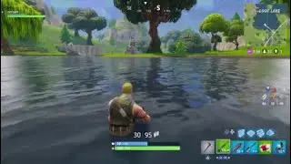 #3 Fortnite (Solo)