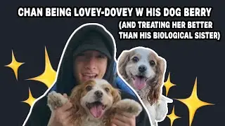 chan loving his dog berry more than hannah 😭