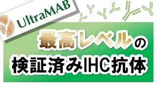 OriGene社 最高レベルの検証済みIHC抗体 UltraMABのご紹介