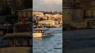 ✨Роскошный круиз на яхте по Босфору⚓ #bosphorus #luxury #yachtcruise #fypシ #shorts