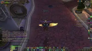 6months sub Blizzard new mount Lucky Yun wings bug