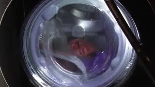 LG AiDD Steam Washer, Cottons 20 with Rinse+ and half load (Requested)