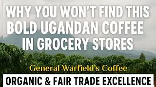 Why You Won&rsquo;t Find This Bold Ugandan Coffee in Grocery Stores &ndash; Organic & Fair Trade Excellence