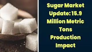 Sugar Market Update: 15.9 Million Metric Tons Production Impact