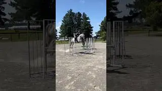 85cm oxer, ignore me🤮 #showjumpers #equestrian #shorts #ottbjumper #ottb #showjumping #2ksubgoal