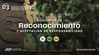 Audiencia de Reconocimiento y Aceptación de Responsabilidad – Caso 03 - Subcaso Huila | 20240810