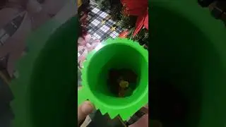 Receta de diki duki dariel