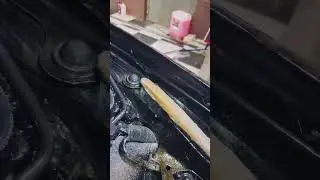 Shima Detailer 