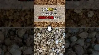 庭の砂利敷のデメリットを克服するための想像を絶する作業とは？