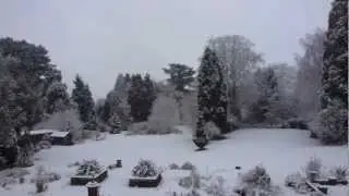 Snow in Pendean gardens 2013 - Fyrsti snj&oacute;r vetrarins