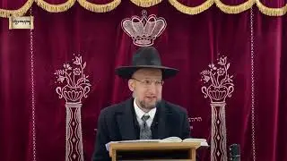 הילולת רבינו שלום שבזי זיע