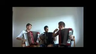 Avicii - Wake Me Up ( Crazy Accordion Trio Cover )