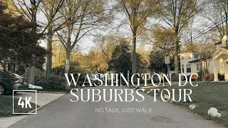 No Talk, Just Walk: A Serene Walk Through Washington DC Suburbs (4K-UHD) (Binaural Audio)