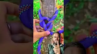 This knot is very effective!#shorts#shortsviral#shortvideos#knots