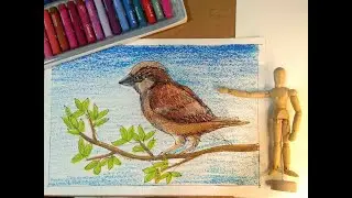 Simple Sparrow Drawing For Kids| Step-by-step tutorials 🎨🤩