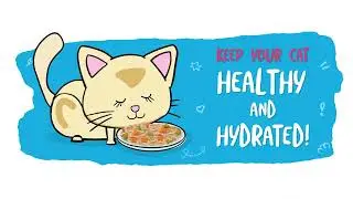 Quench Your Kitty's Thirst! Discover Cat Hydration with Weruva