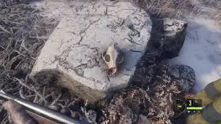 The Best Hunting game of 2018- LOTS OF BEARS!!!