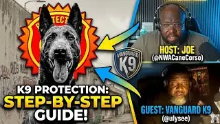 How To Shape And Mold A Protection Dog:  Vanguard K9 @ulysee