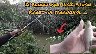 strike melem menjelang senja...