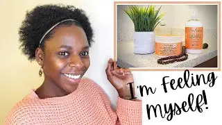PRODUCT REVIEW || SheaMoisture Coconut & Hibiscus Conditioner & Curl Enhancing Smoothie