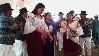 Grupo Musical Mushuk Jatari en vivo Tocagon Alto 26/08/2023