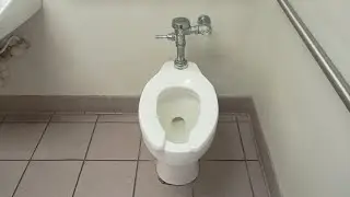 1990 American Standard Cadet (flushometer)