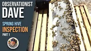 Spring HoneyBee Inspection Part I